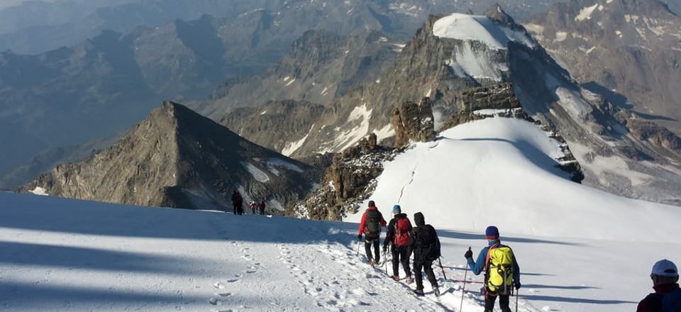 Czy warto wybrać się na trekking w Alpach?