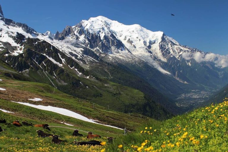 Trekking górski w okolicy Mont Blanc.