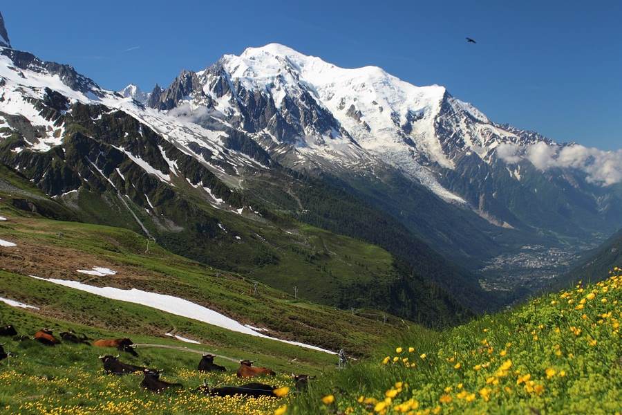 Jak przygotować się na trekking wysokogórski?